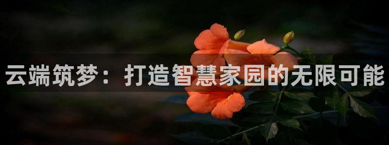 安信12平台：云端筑梦：打造智慧家园的无限可能