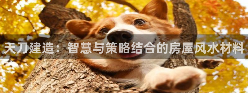 安信12周年庆典：天刀建造：智慧与策略结合的房屋风水材料