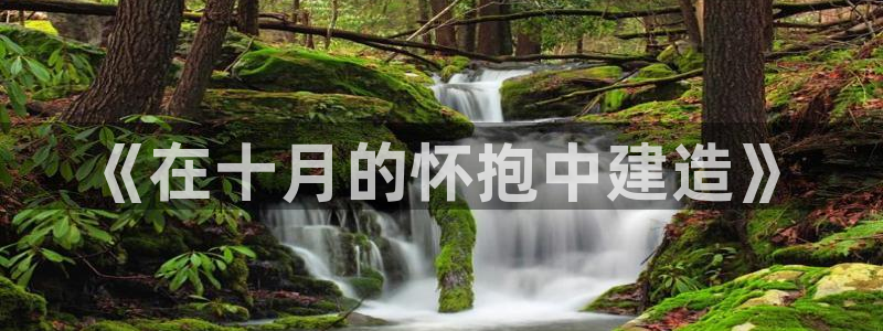 安信12级：《在十月的怀抱中建造》