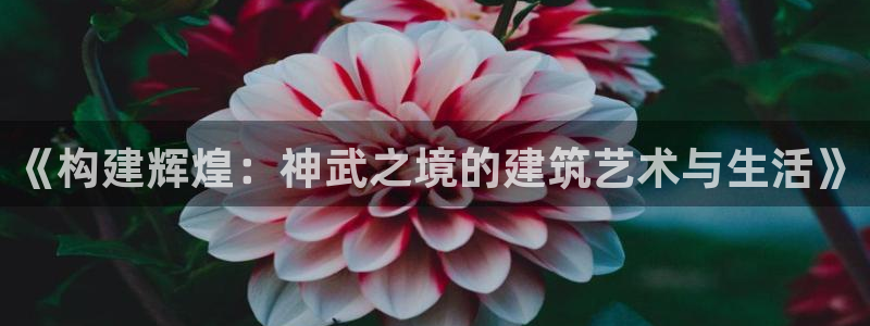 安信 12：《构建辉煌：神武之境的建筑艺术与生活》