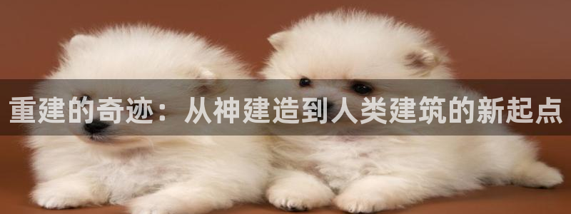 信安12乐打棒：重建的奇迹：从神建造到人类建筑的新起点