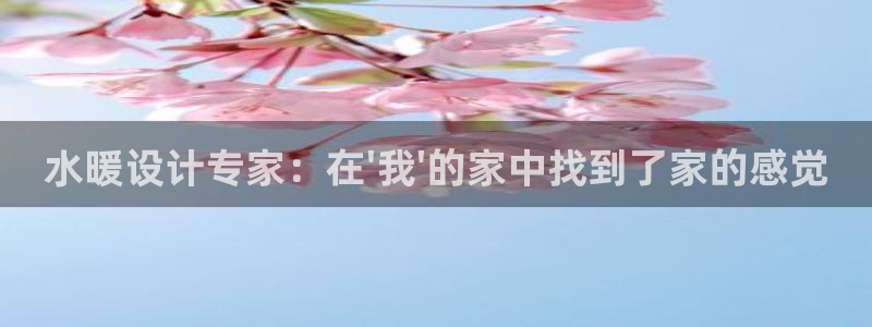 安信cw12系列：水暖设计专家：在\'我\'的家中找到了家的感觉