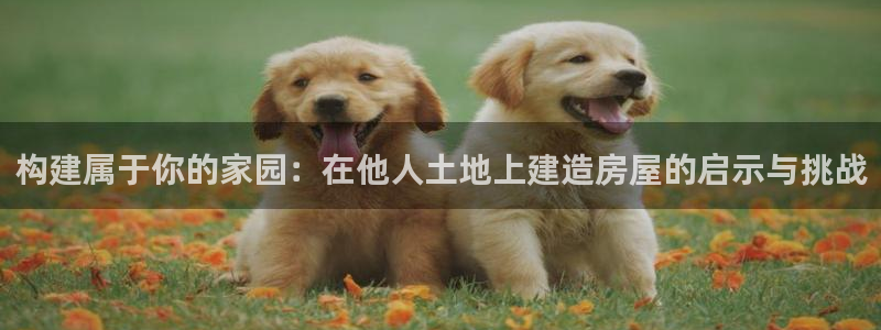 安信12注册：构建属于你的家园：在他人土地上建造房屋的启示与挑战