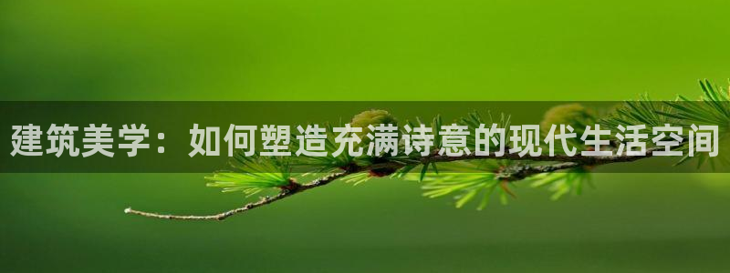 安立信T12测评：建筑美学：如何塑造充满诗意的现代生活空间