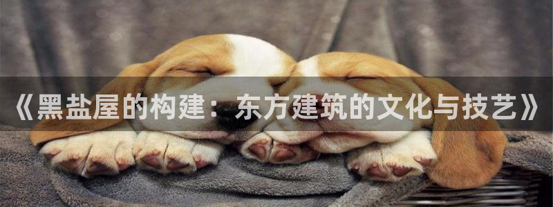 安信12是啥：《黑盐屋的构建：东方建筑的文化与技艺》