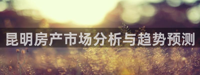 信安12：昆明房产市场分析与趋势预测