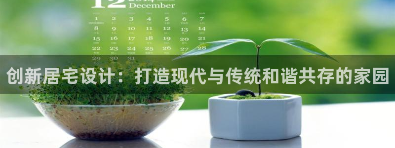 信安12乐打棒：创新居宅设计：打造现代与传统和谐共存的家园